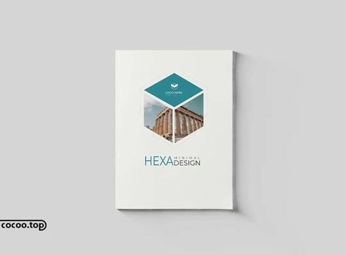 新手转行学习图文编排设计 从零到精通的实用指南